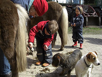 Finn und Jula lernen das Putzen und Hufe auskratzen