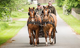 Gespannfahren wird auf dem Eichenhof  \